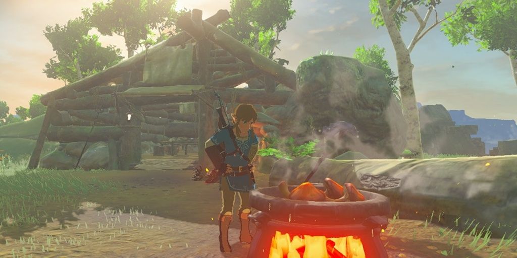 Link-Cooking in BotW